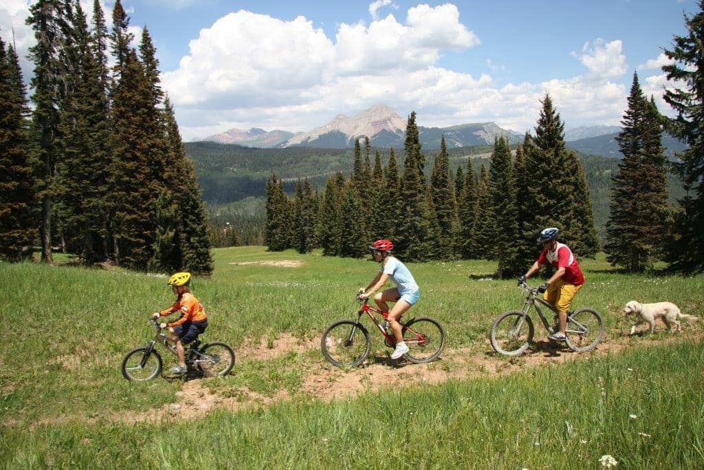 Summer Mountain Biking