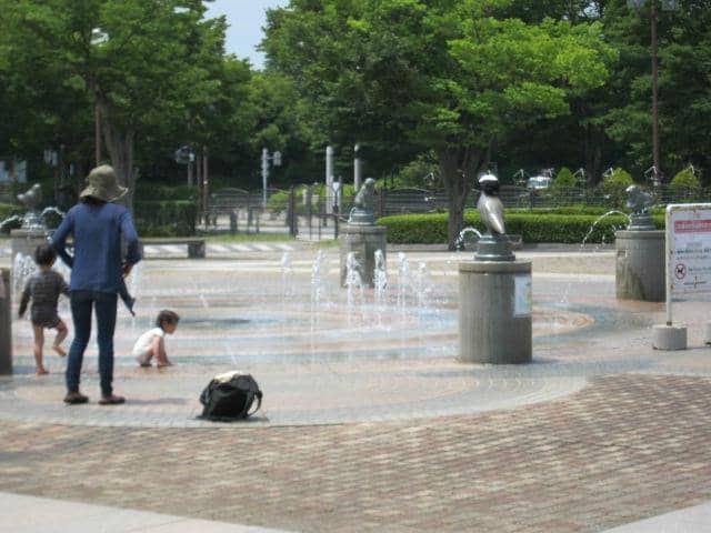 Scenic Lookout Tower