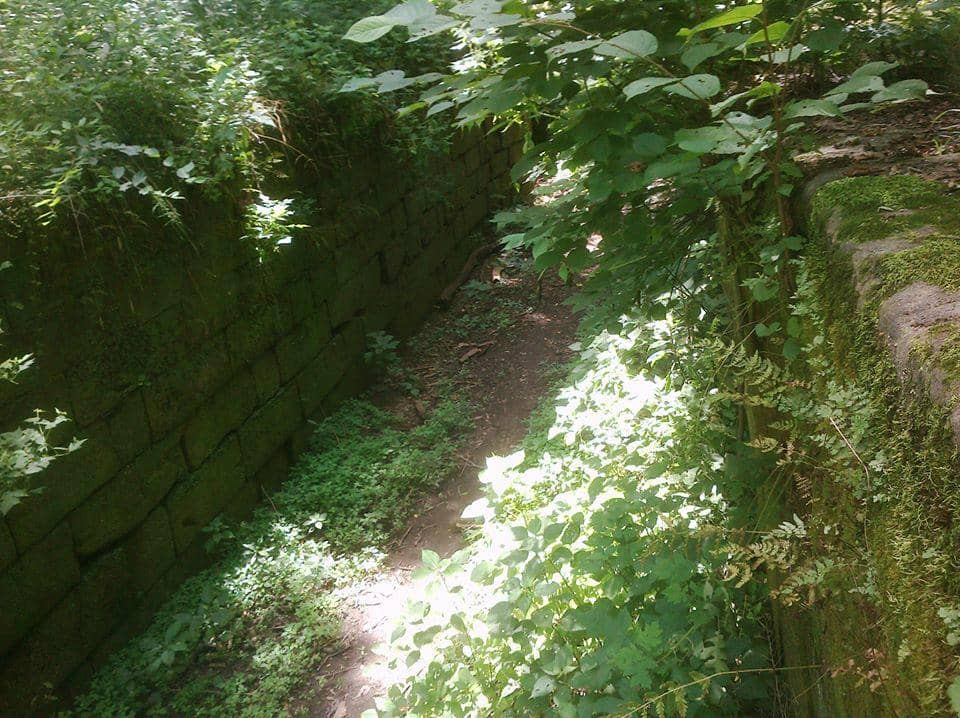 Licking River Trails