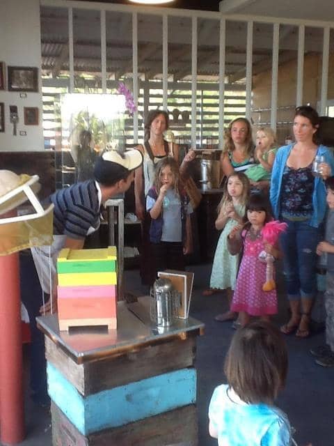 Artisanal Honey Tasting