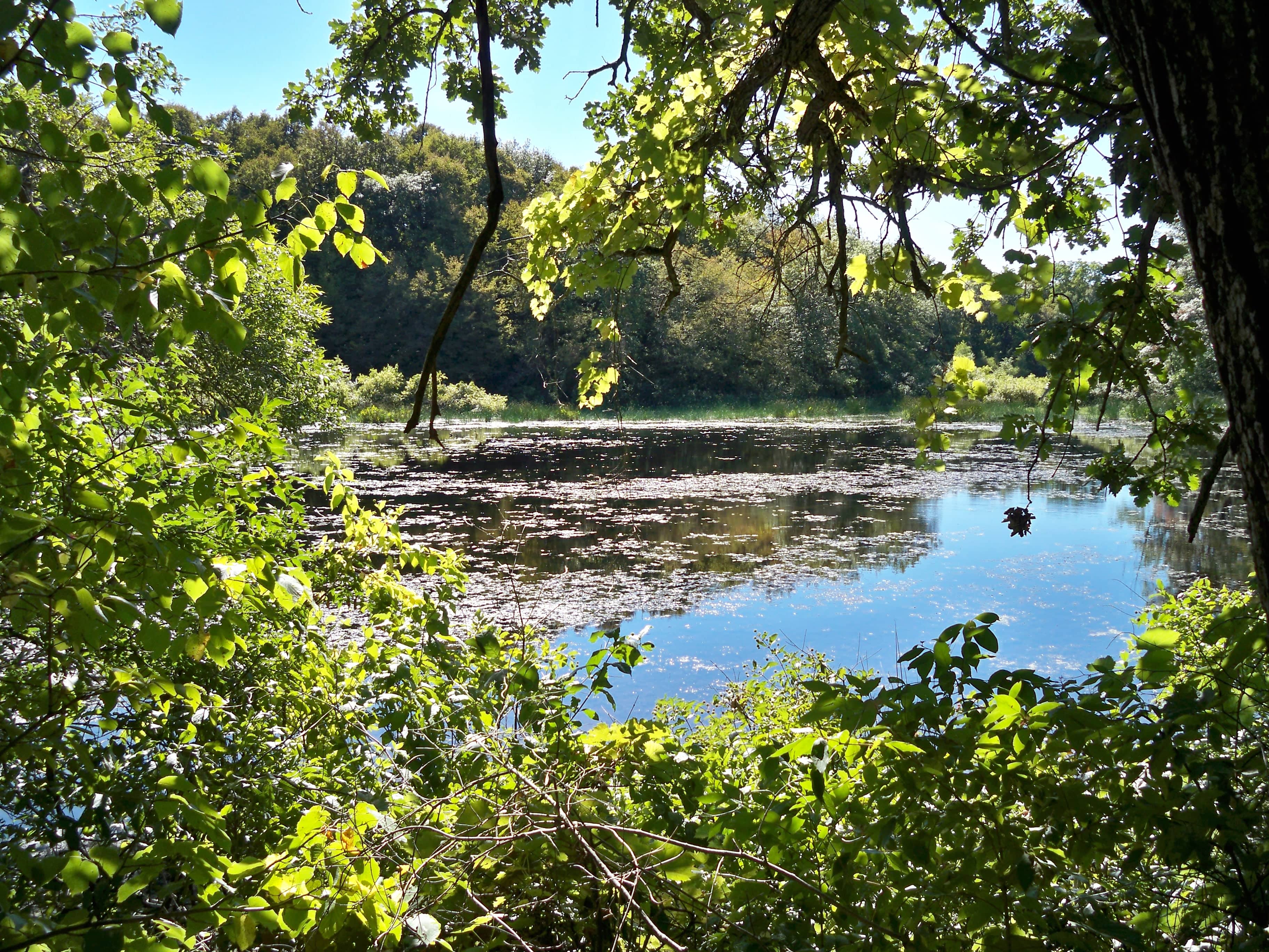 Campground Amenities