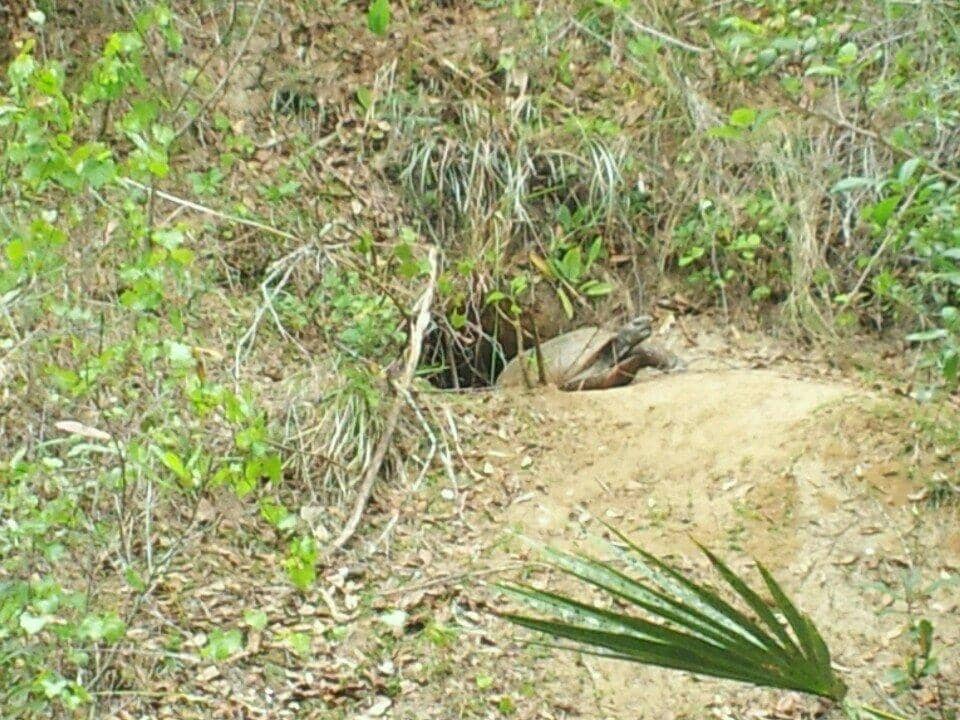Kayaking & Paddleboarding