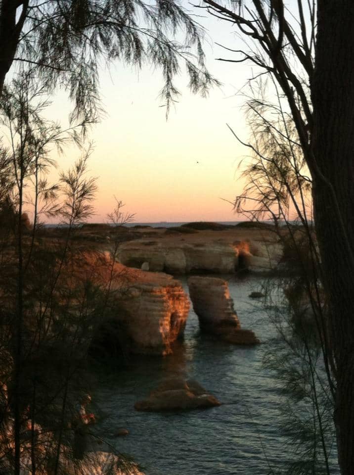 Exceptional Family Hospitality