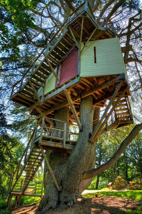 Vertical photo