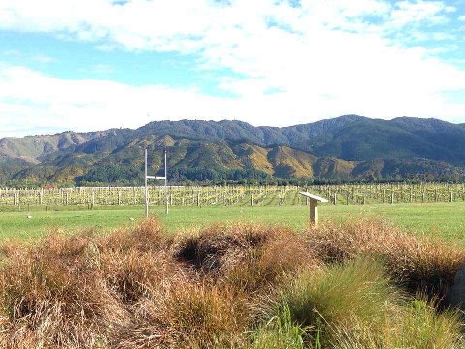 Local Cuisine Delights