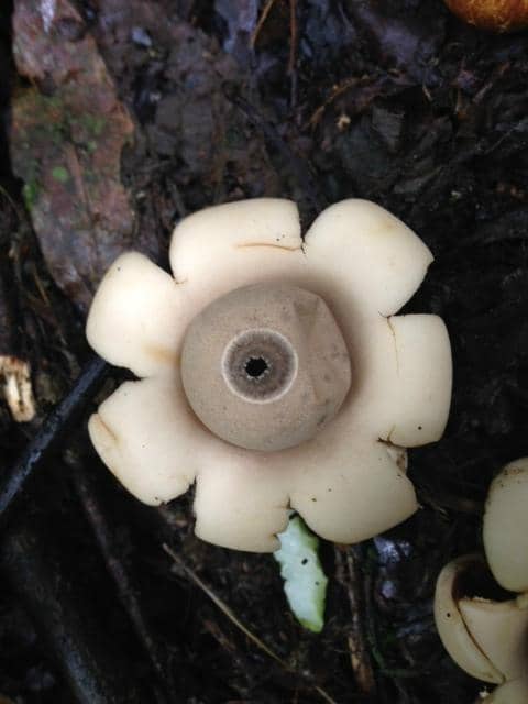 Expert-Led Nature Tours