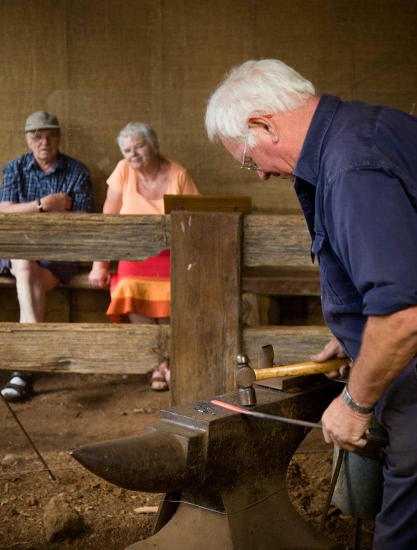 Scenic Walking Trails