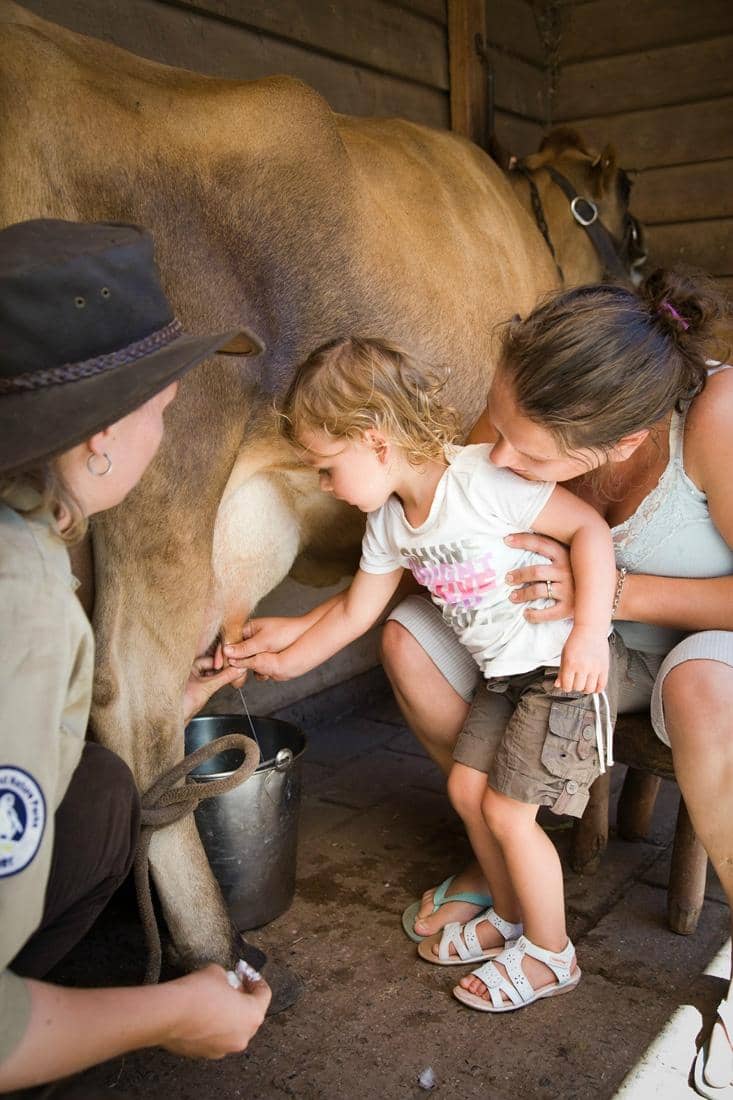 Farm Animal Demonstrations