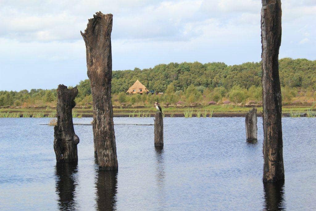 Heritage Village & Boglands