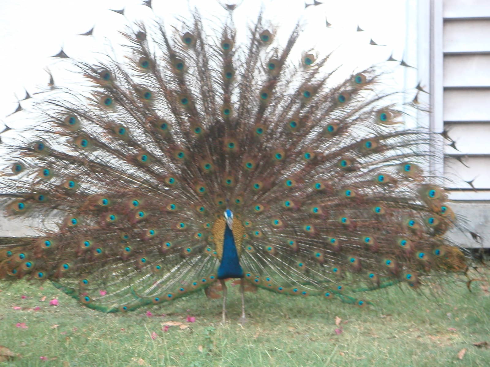 Sabarmati Ashram Museum