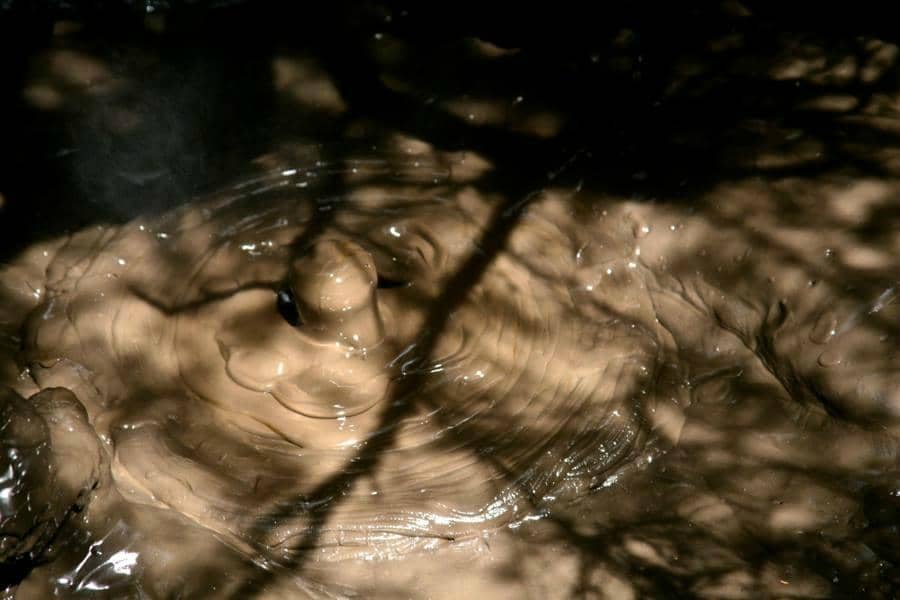 Tokaanu Thermal Walk