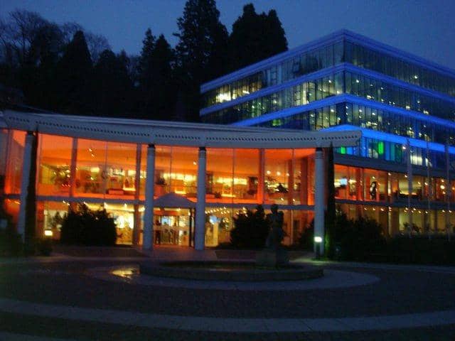 Sauna & Steam Paradise