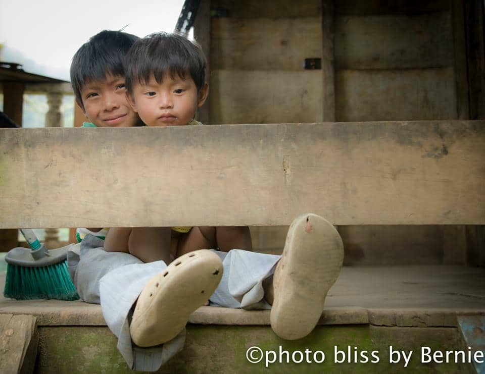 Cloud Forest Scenery