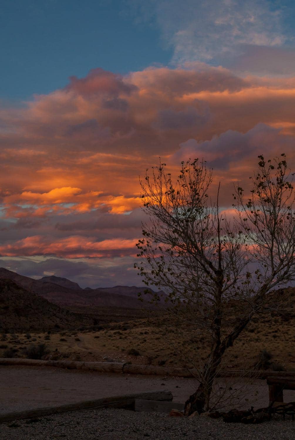 Educational Trail Experience