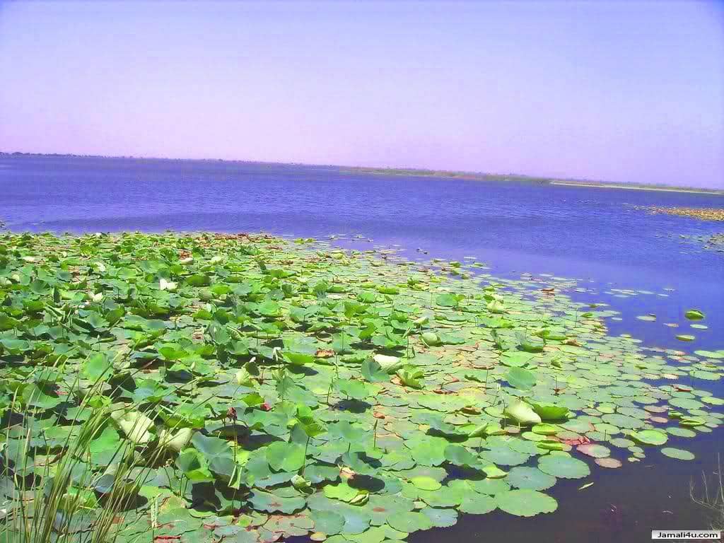 Vast Freshwater Reservoir