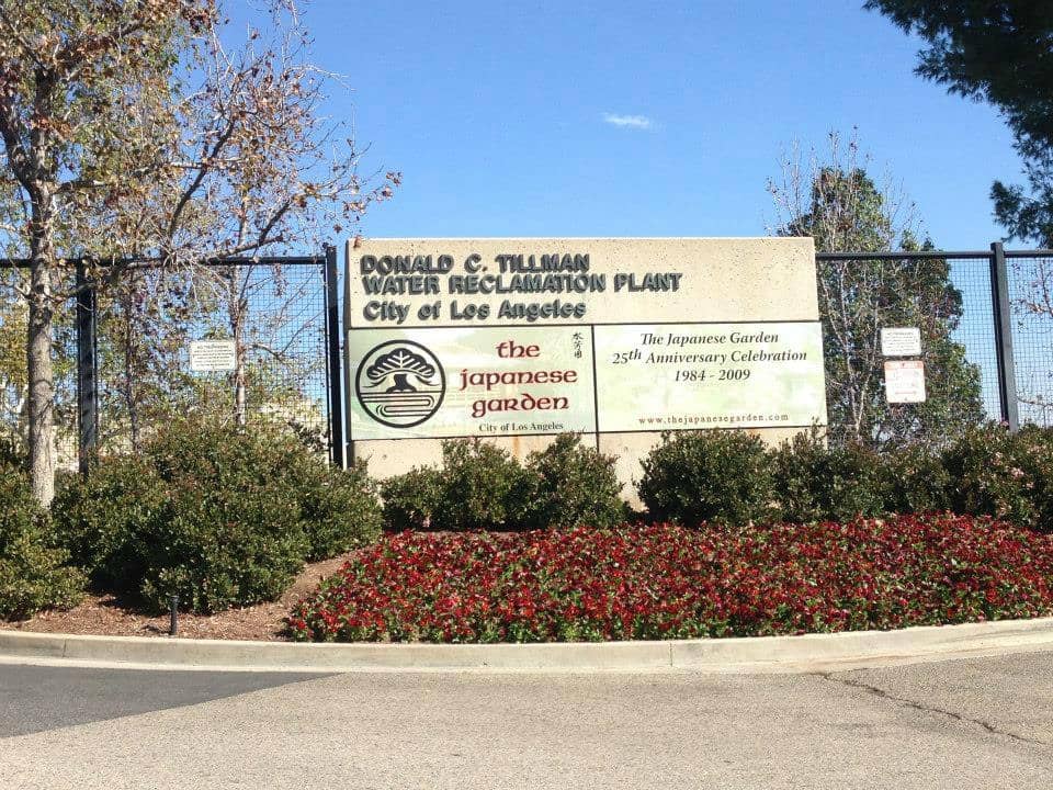 Abundant Coral and Reef Fish