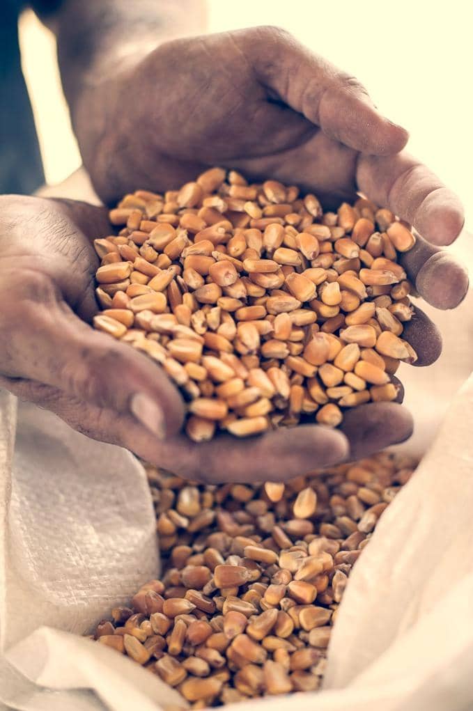 Free Self-Guided Tour