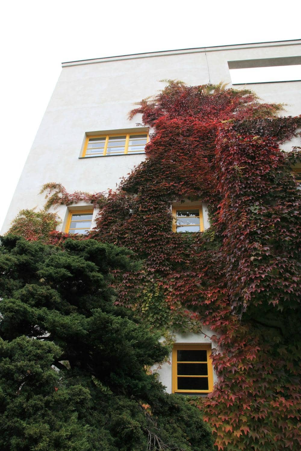 Exterior Architecture