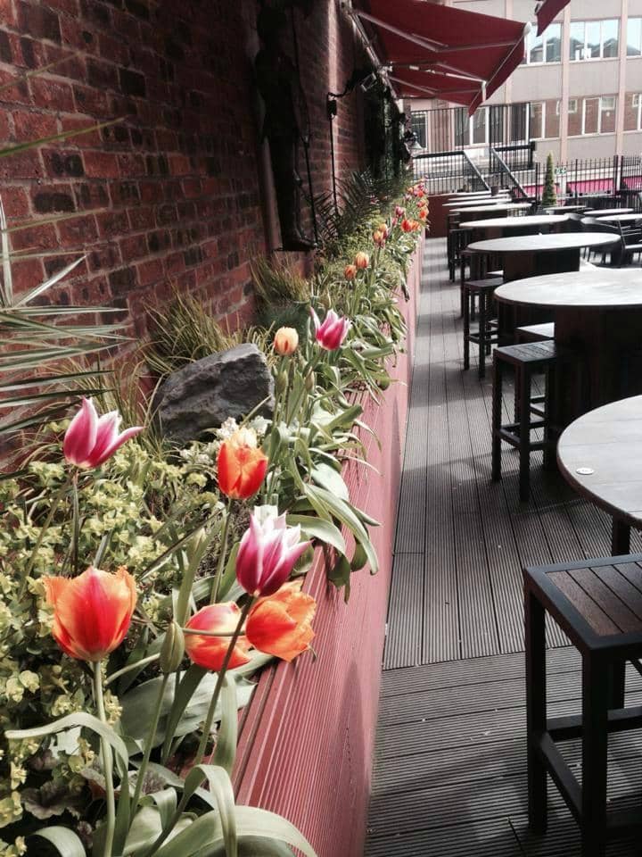 Atmospheric Outdoor Terrace