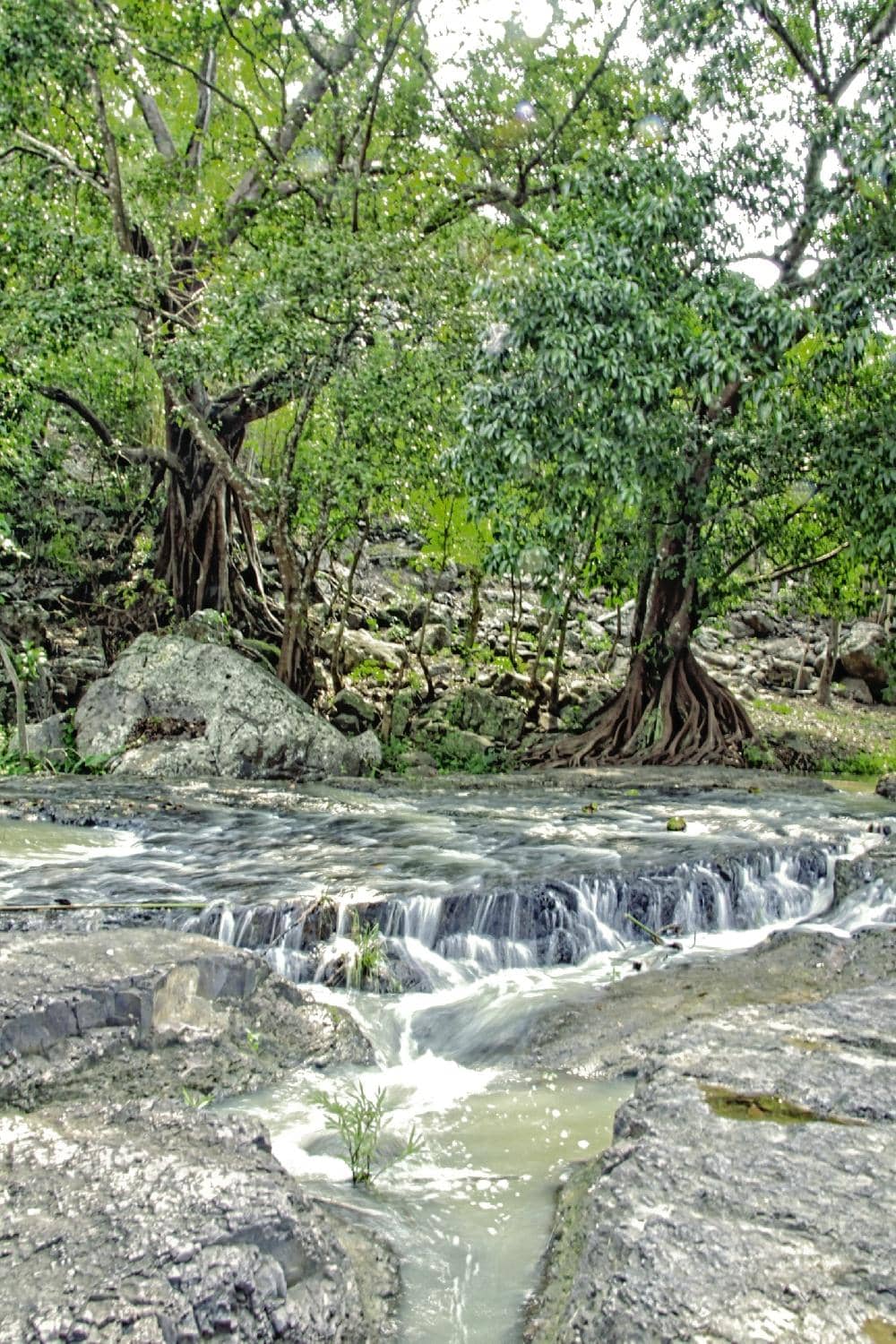 Peaceful Garden Surroundings