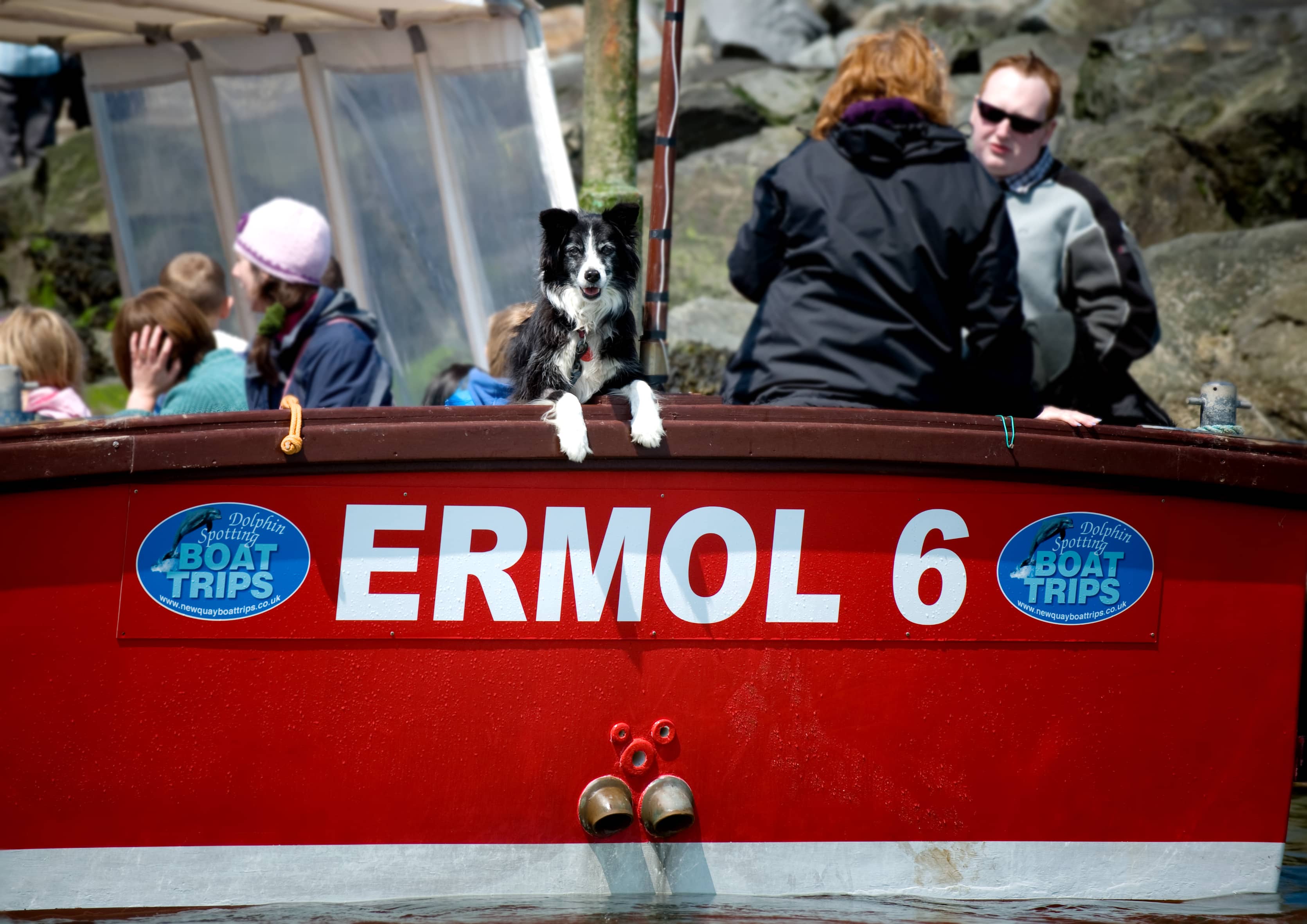 Marine Life Discovery