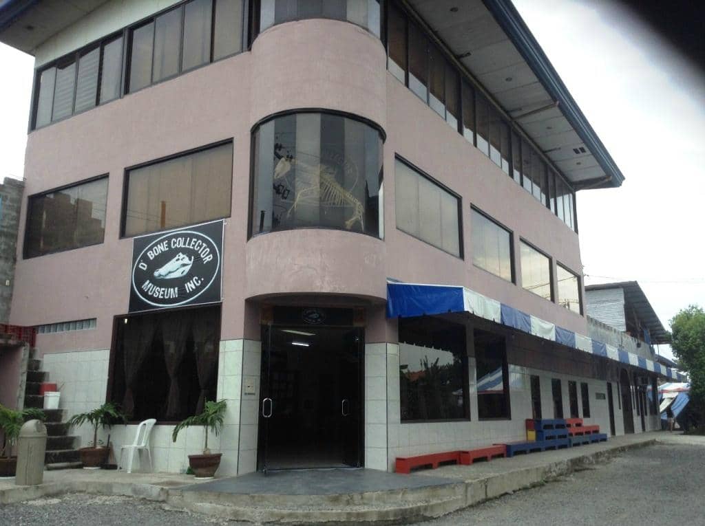 Maison Tramond Spine Model