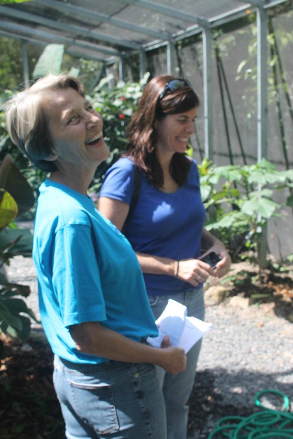 Butterflies in Free Flight