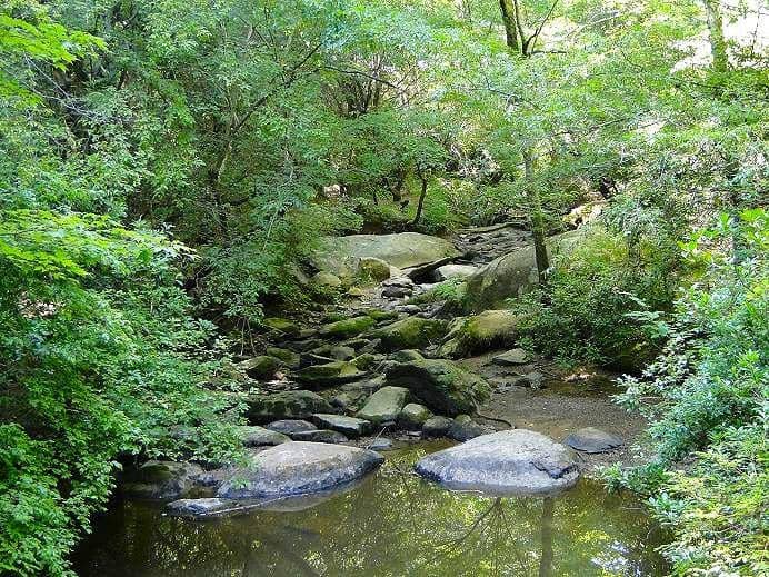 Gargling Stream and Trails