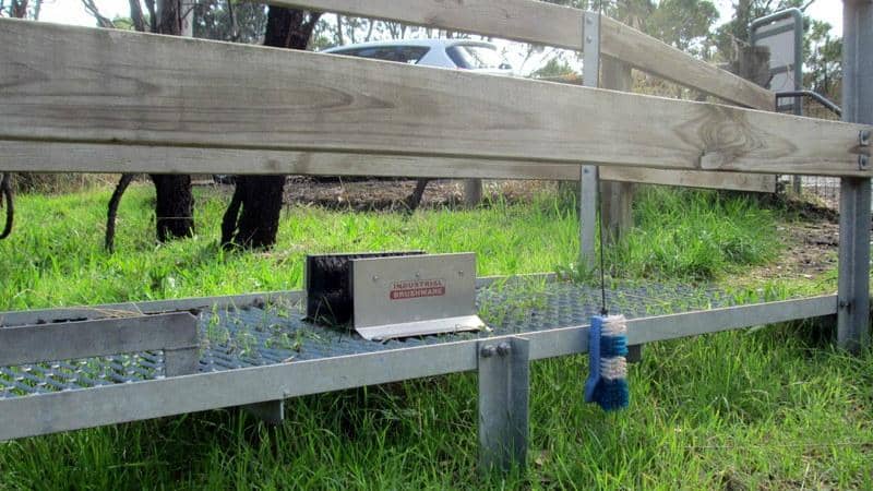 Diverse Flora and Fauna