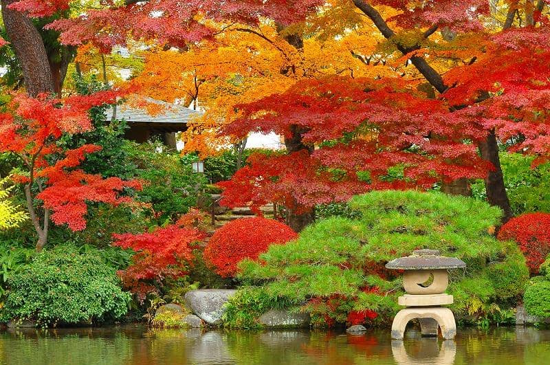 Authentic Japanese Garden