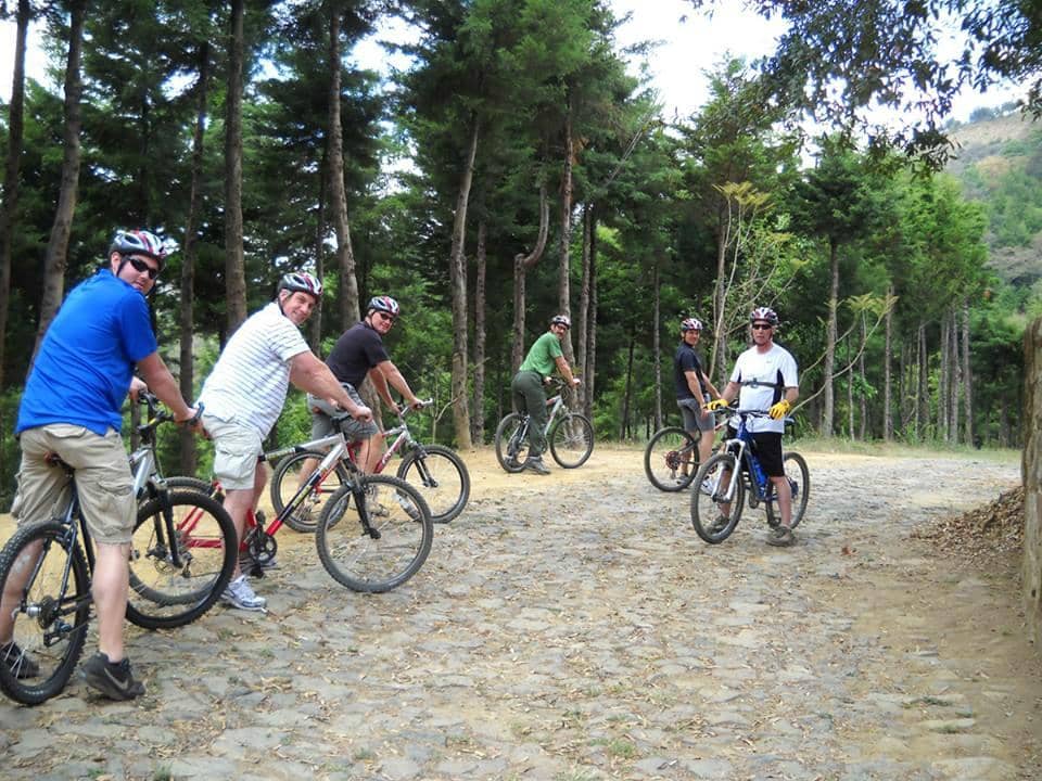 Coffee Plantation Tour