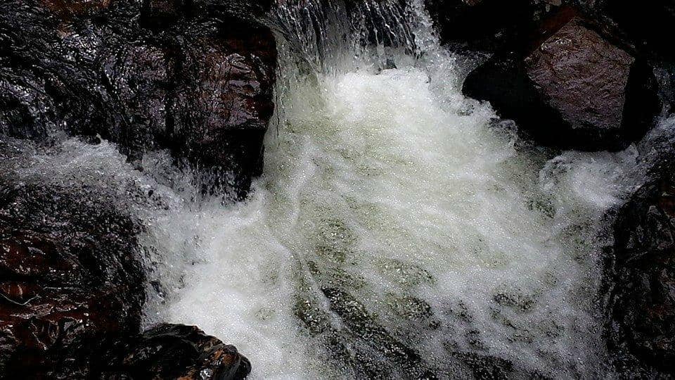 Scenic Drive & Durian Stalls