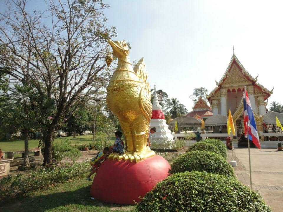 Chit Beer Craft Brewery