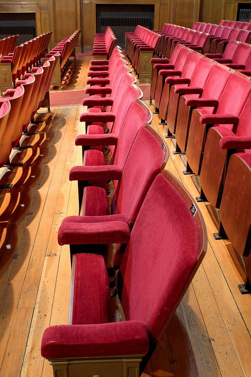 Live Music Performances