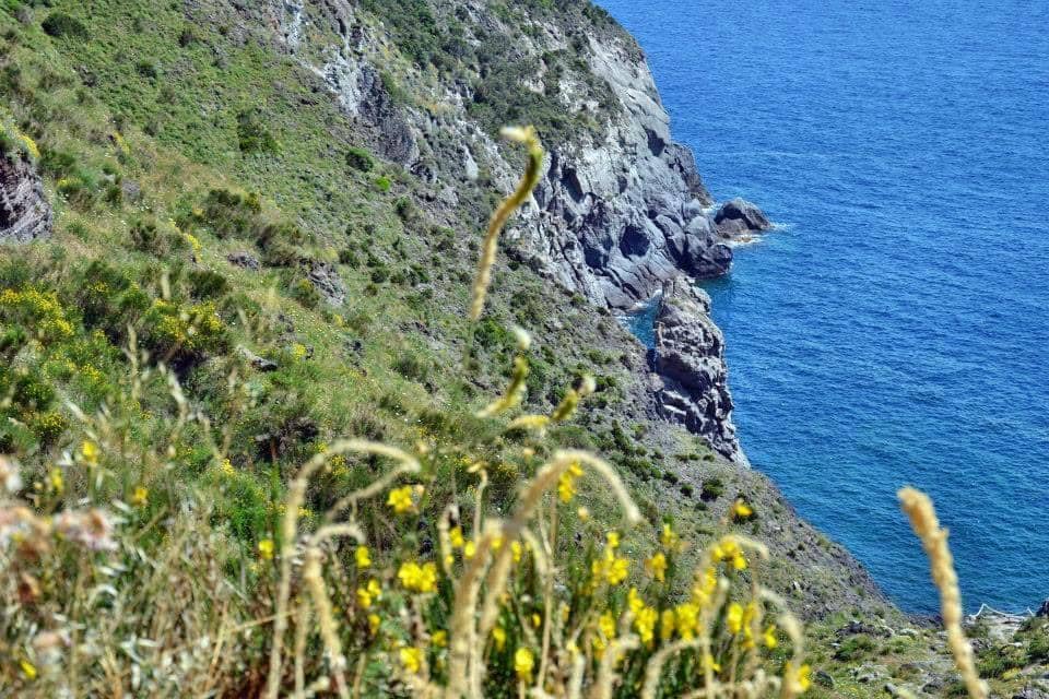 Crystal Clear Waters