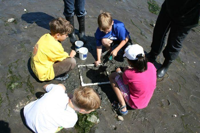 Nature Center Exhibits