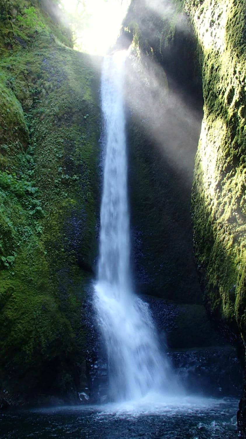 The Gorge Floor Trail