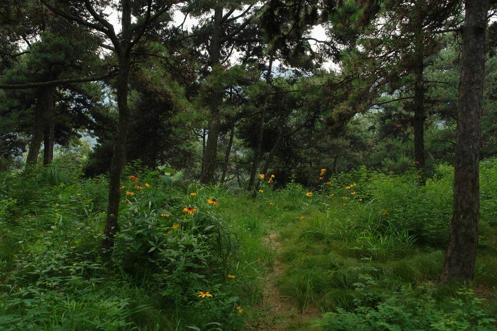 Artful Man-Made Features