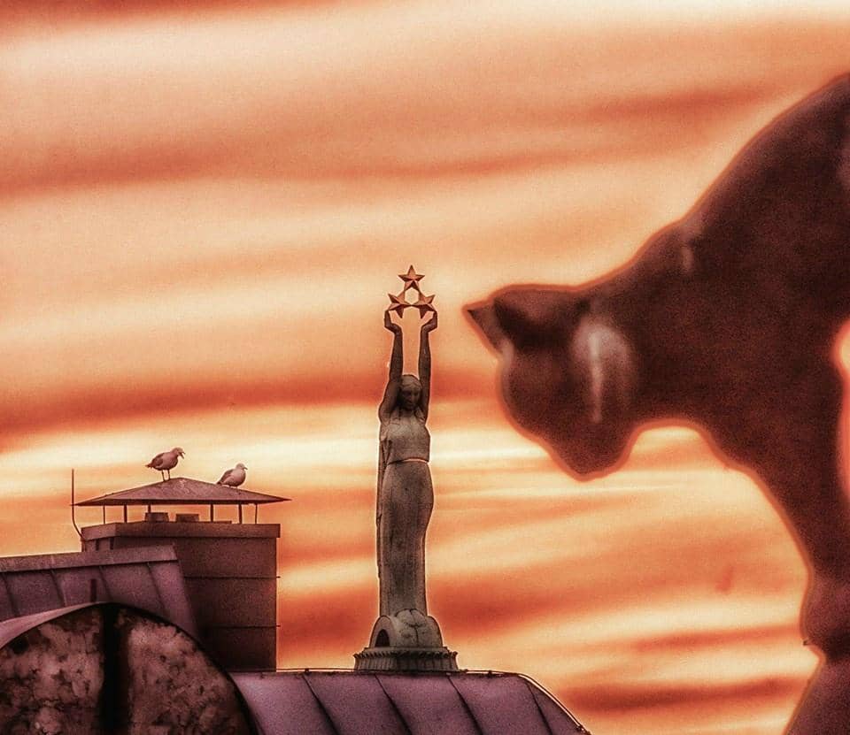 The Iconic Cat Sculptures