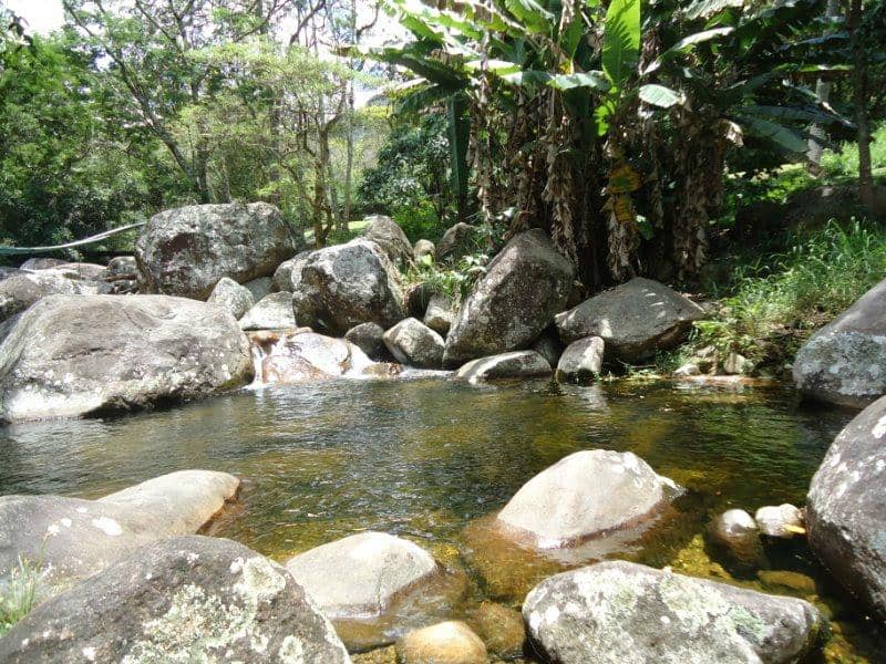 Atlantic Forest Trails