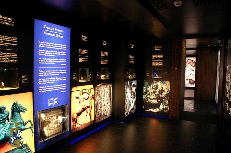 How the Andalusian Horses Dance Show