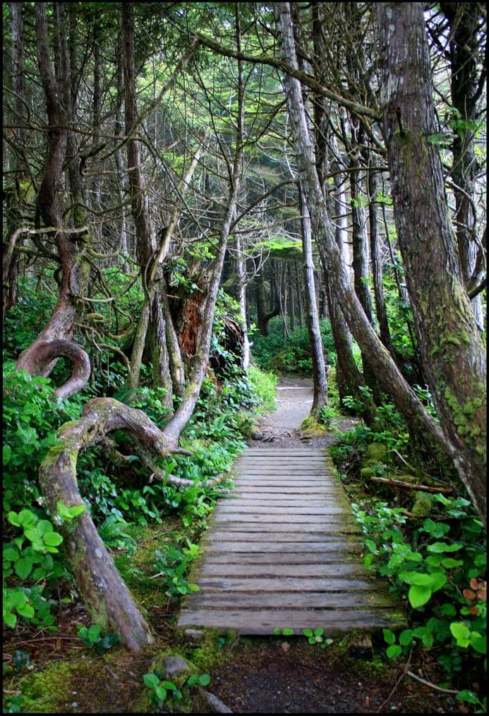 Campground Amenities