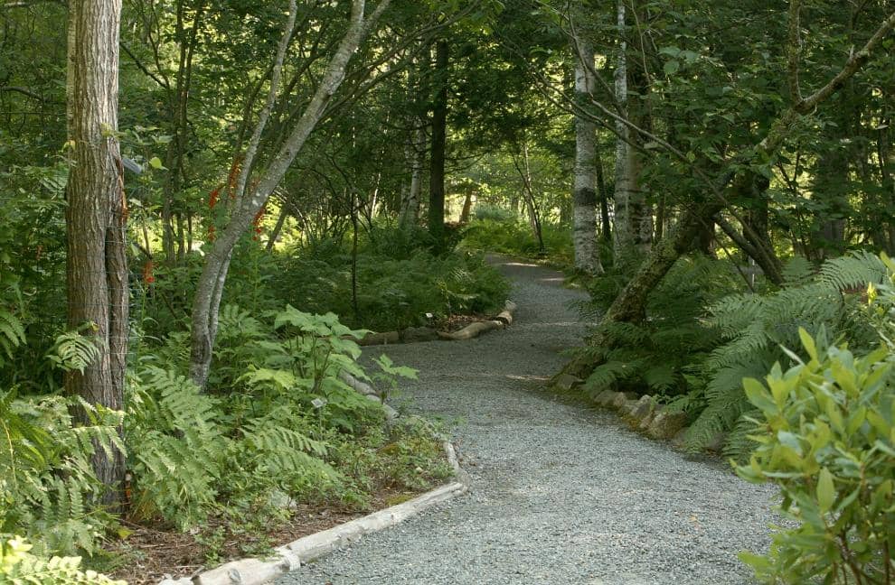 Jesup Path
