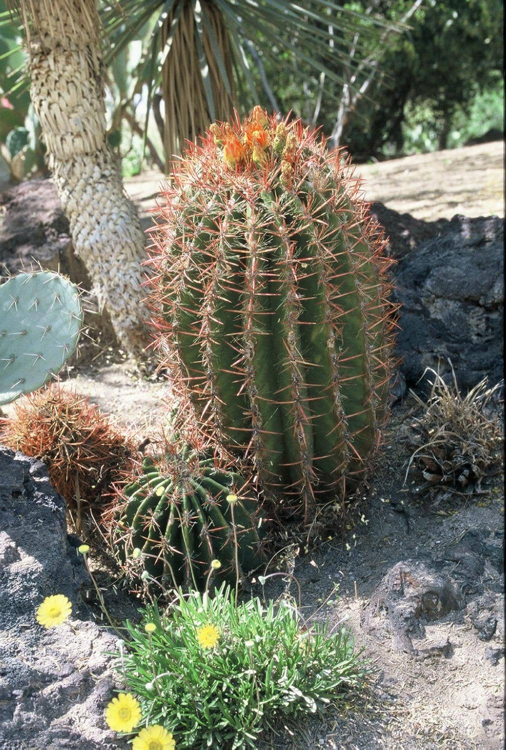 Sweet Treats & Hot Chocolate