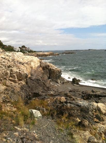 Rugged Coastal Views