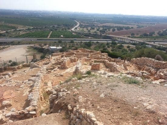 Temporary Art Exhibitions