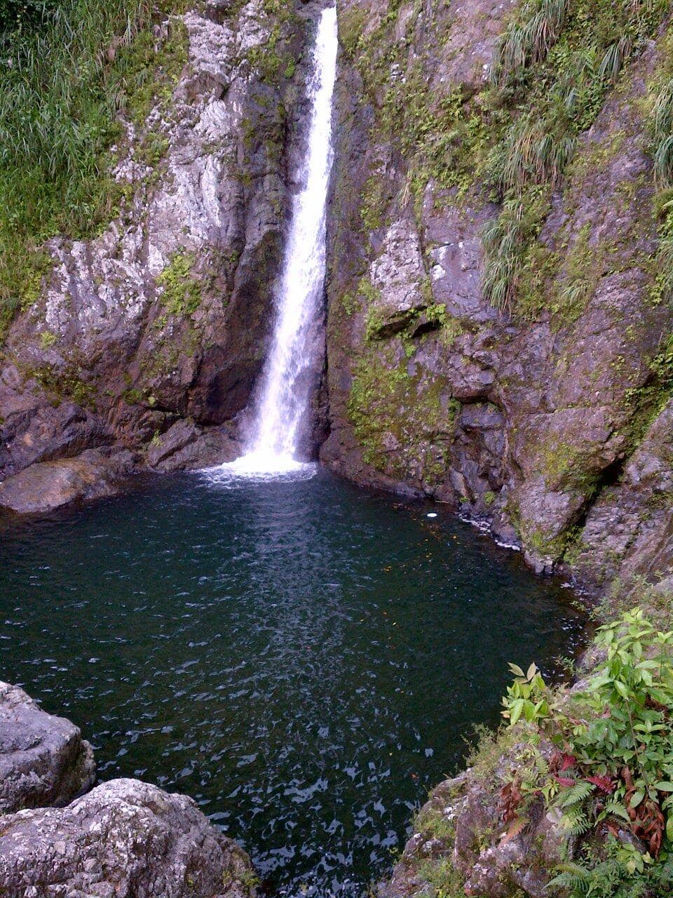 El Chinchoro de Aracelis