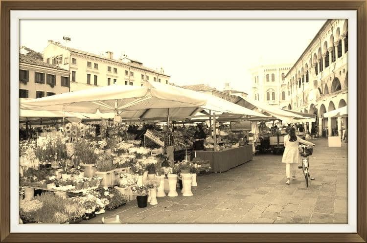 Fresh Produce Galore