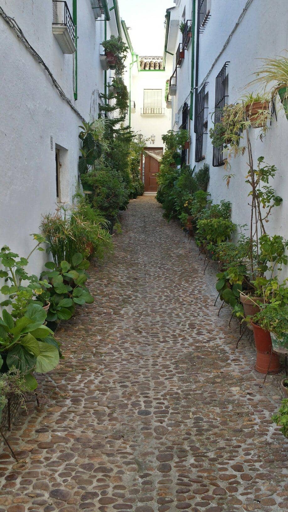 Quintessential Andalusian Charm