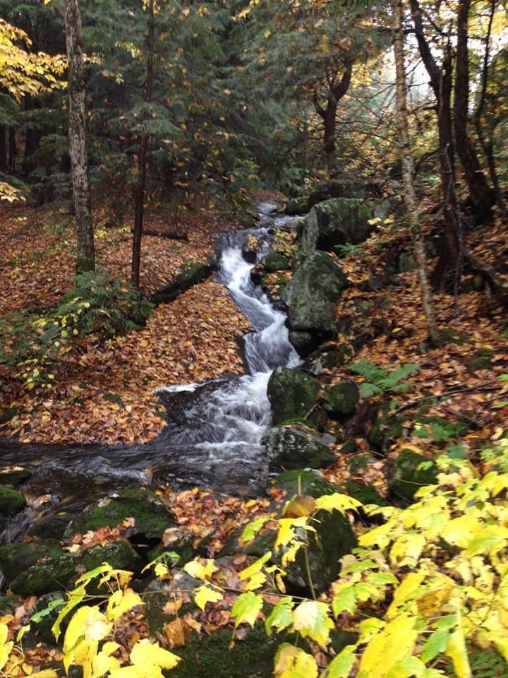 The Hardy Lake Hike (9km Loop)
